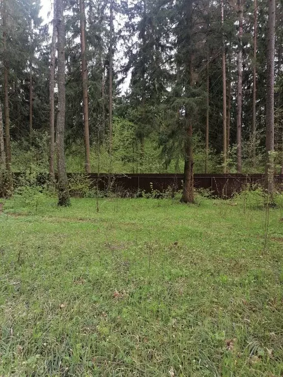 Участок в Московская область, Наро-Фоминский городской округ, ... - Фото 0