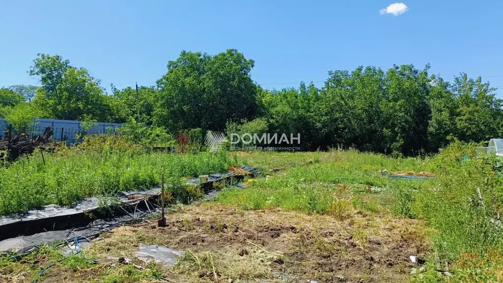 Участок в Ростовская область, Новочеркасск Весенняя ул., 85 (6.0 сот.) - Фото 2