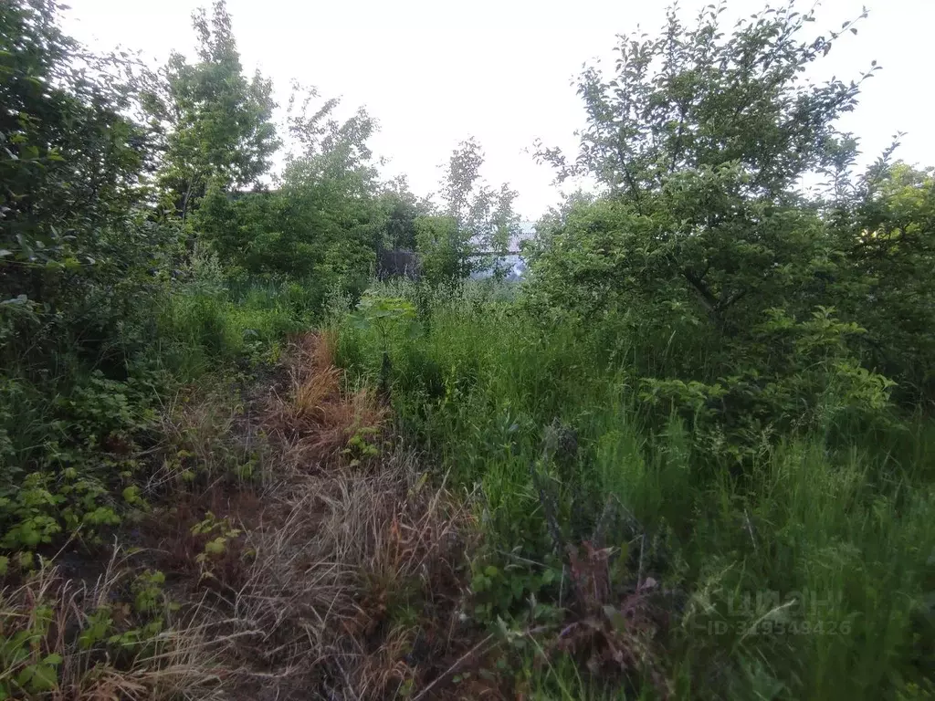 Участок в Московская область, Ленинский городской округ, с. ... - Фото 1