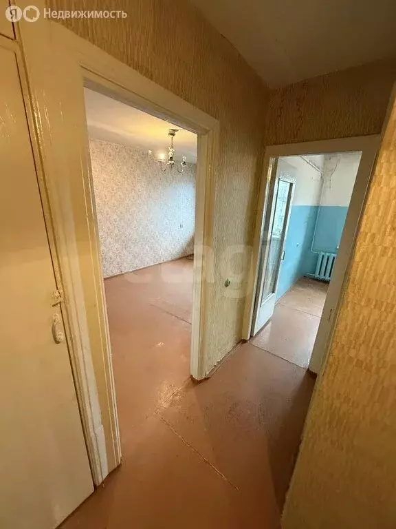 1-комнатная квартира: Брянск, улица Академика Королёва, 5 (31.3 м) - Фото 1