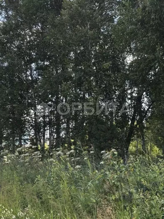 Участок в Тюменская область, Тюмень Березняковский мкр, ул. ... - Фото 1