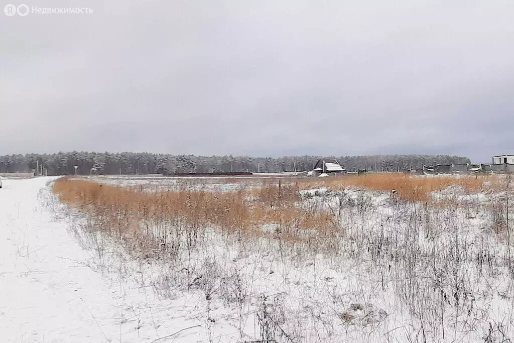 Участок в деревня Дубровка, микрорайон Юбилейный (10.5 м) - Фото 1