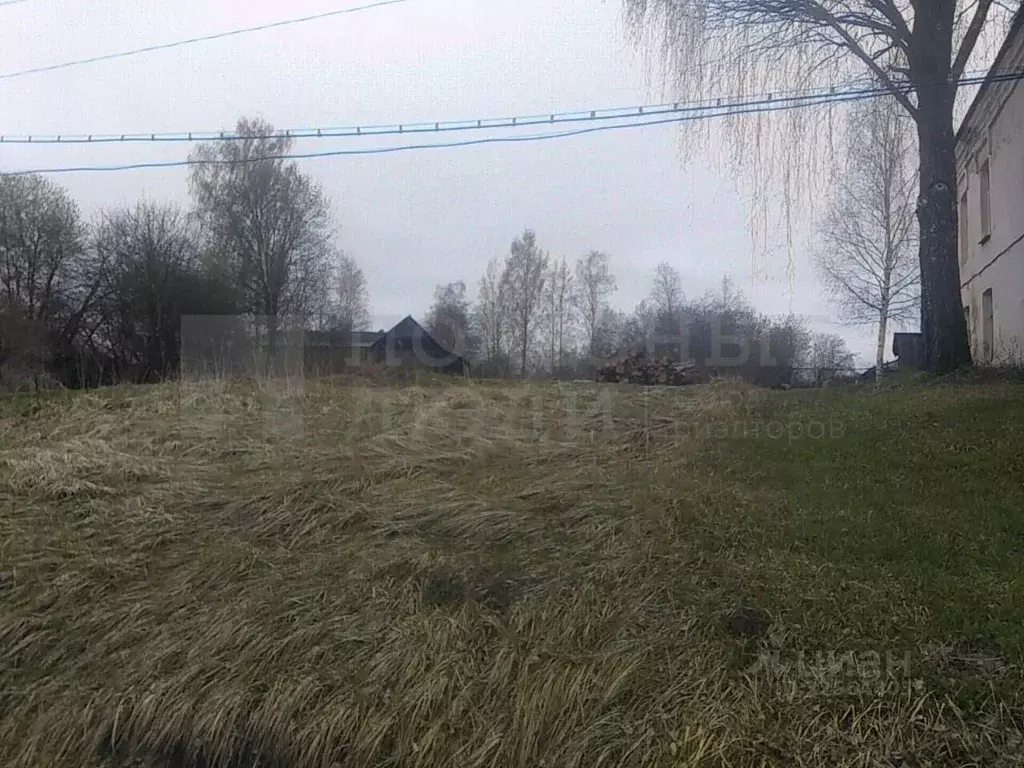 Участок в Новгородская область, Боровичский район, Опеченское с/пос, ... - Фото 1