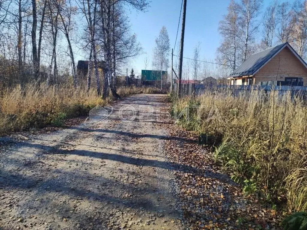 Участок в Тюменская область, Нижнетавдинский муниципальный округ, ... - Фото 2