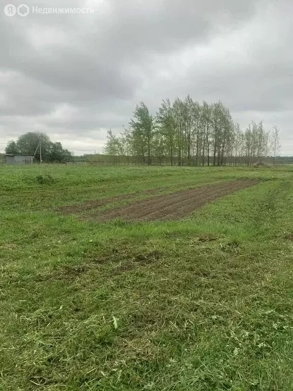 Участок в Котельское сельское поселение, деревня Большое Руддилово (10 ... - Фото 2