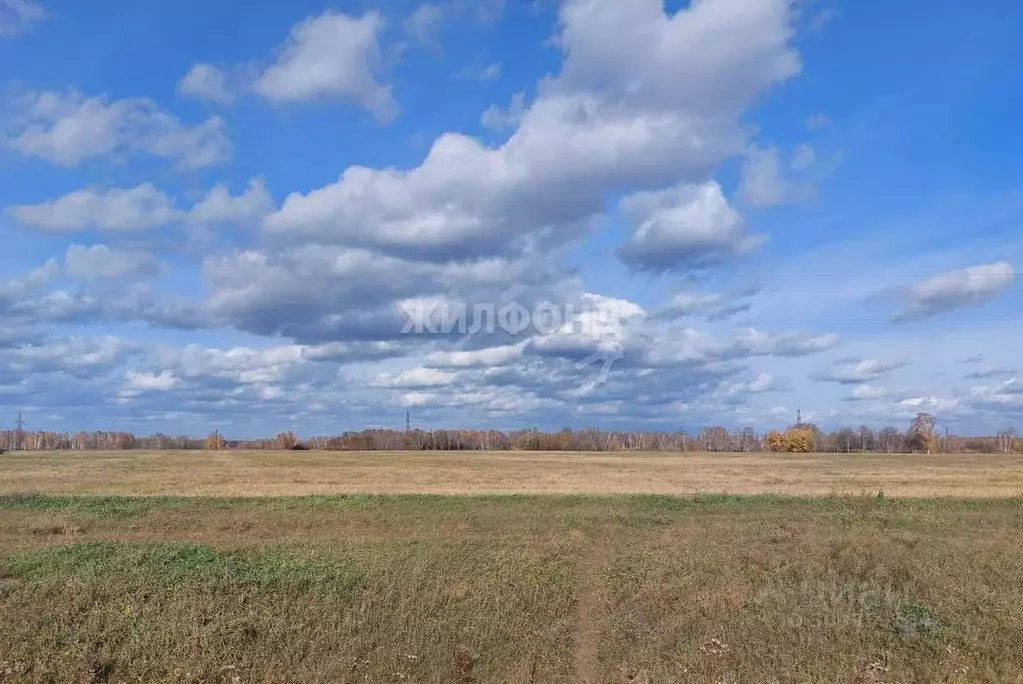 Коттедж в Новосибирская область, Новосибирский район, Толмачевский ... - Фото 1