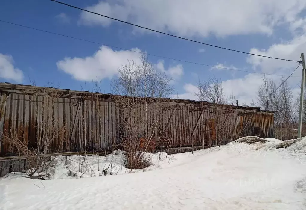 Помещение свободного назначения в Ямало-Ненецкий АО, Красноселькупский ... - Фото 2