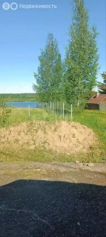 Участок в Новгородская область, Чудовский муниципальный район, ... - Фото 2