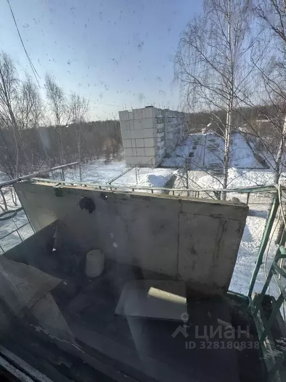 3-к кв. Нижегородская область, Балахнинский муниципальный округ, д. ... - Фото 2