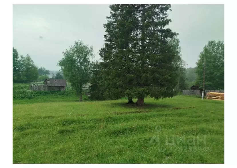 Участок в Свердловская область, Шалинский муниципальный округ, пос. ... - Фото 2