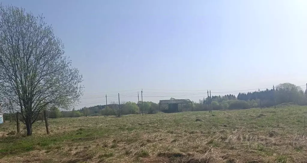 Участок в Московская область, Можайский муниципальный округ, д. ... - Фото 0