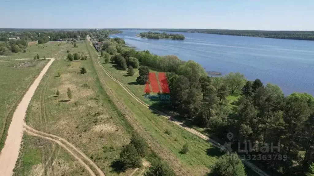 Участок в Ярославская область, Некрасовский муниципальный округ, ... - Фото 2