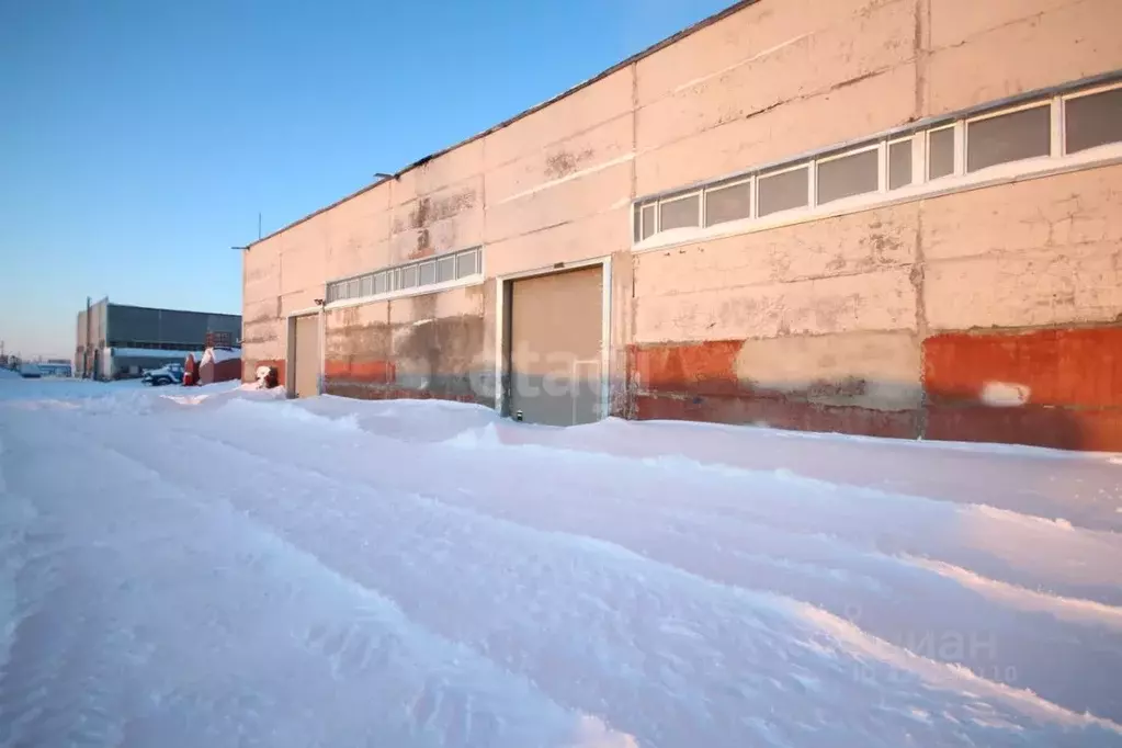 Помещение свободного назначения в Ямало-Ненецкий АО, Новый Уренгой ул. ... - Фото 2