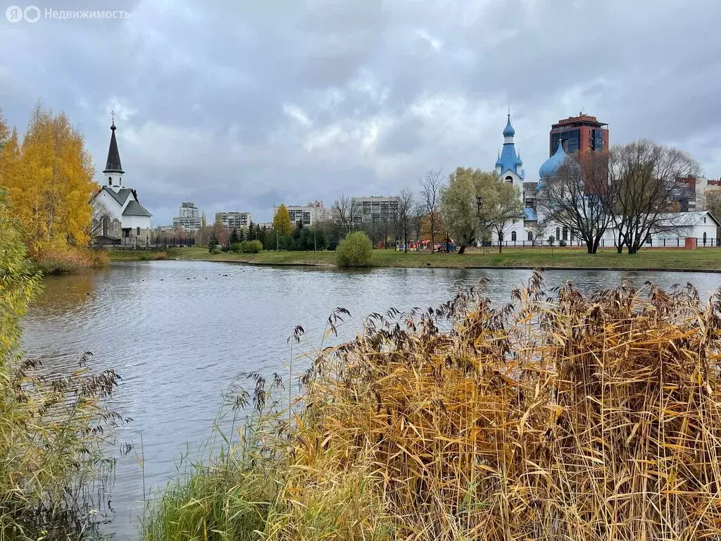 Квартира-студия: Санкт-Петербург, Пулковское шоссе, 14с6 (24.4 м) - Фото 1