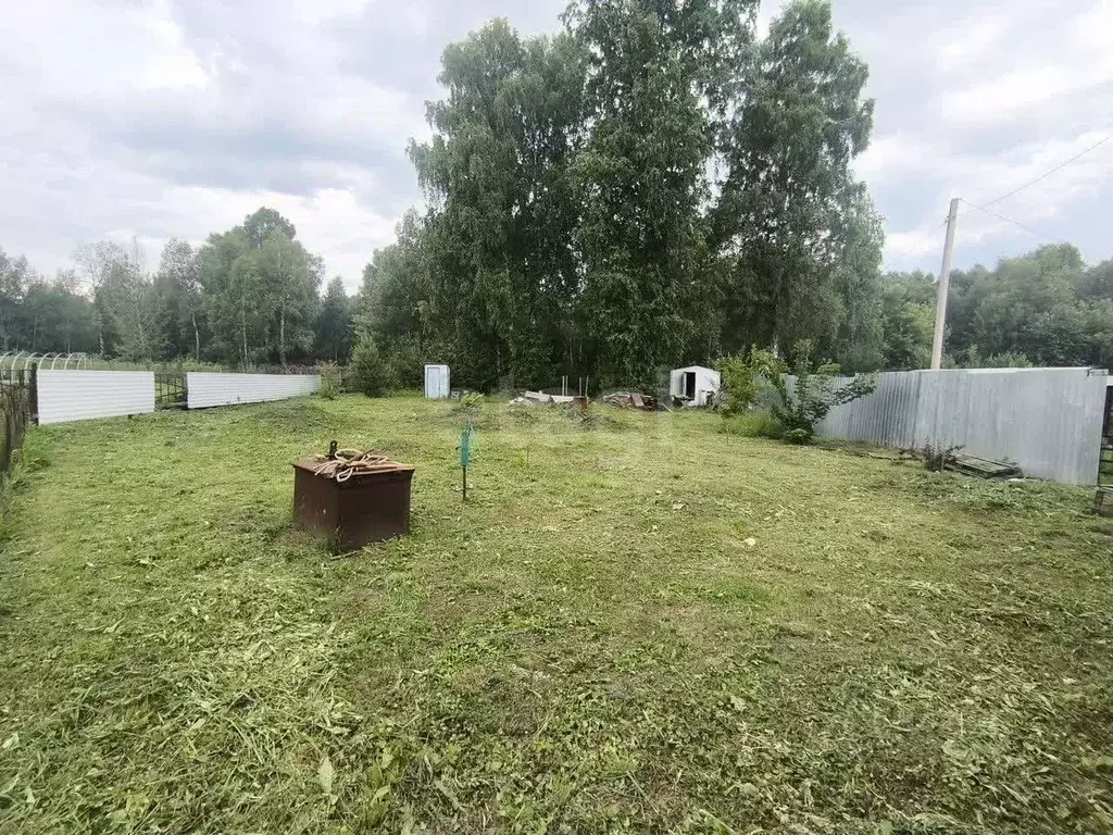 Участок в Новосибирская область, Коченевский район, Березка ... - Фото 1