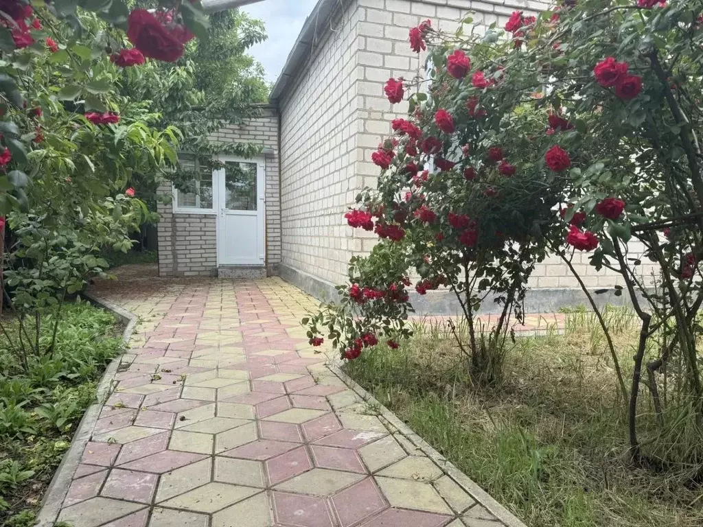 Дом в Краснодарский край, Анапа муниципальный округ, Благовещенская ... - Фото 2