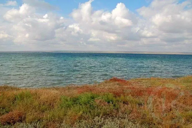 Участок в Крым, Черноморский район, Медведевское с/пос, с. Медведево ... - Фото 1
