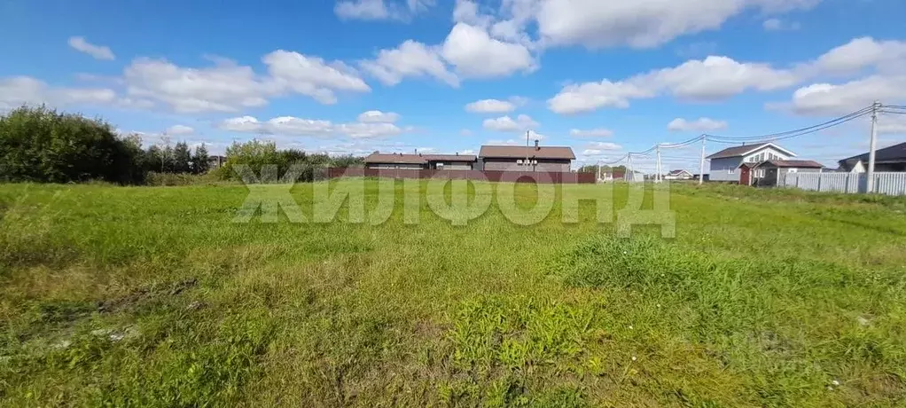 Участок в Новосибирская область, Ордынский район, Порт Пичуги кп  ... - Фото 0