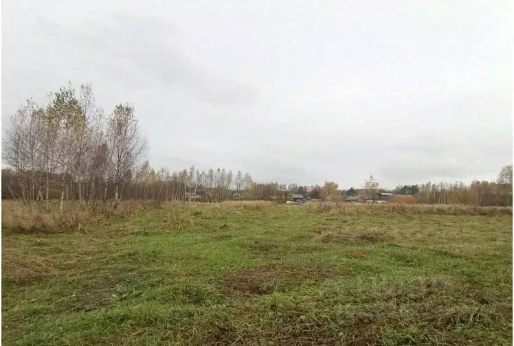 Участок в Московская область, Дмитровский муниципальный округ, ... - Фото 1