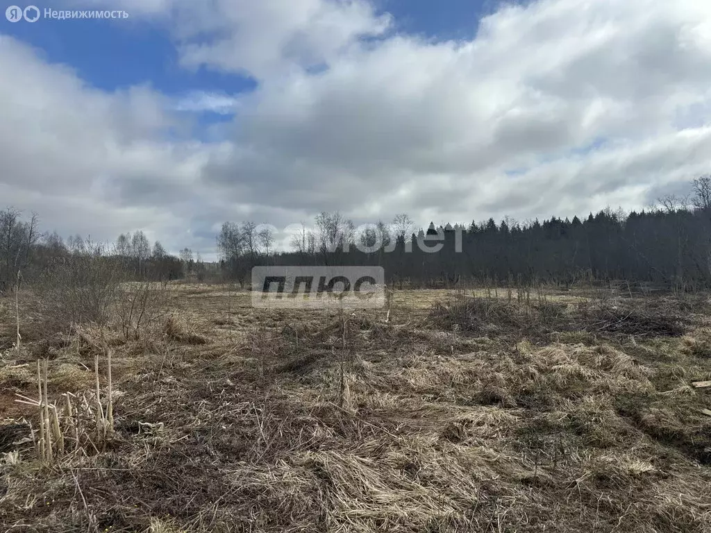 Участок в Московская область, городской округ Солнечногорск, посёлок ... - Фото 1