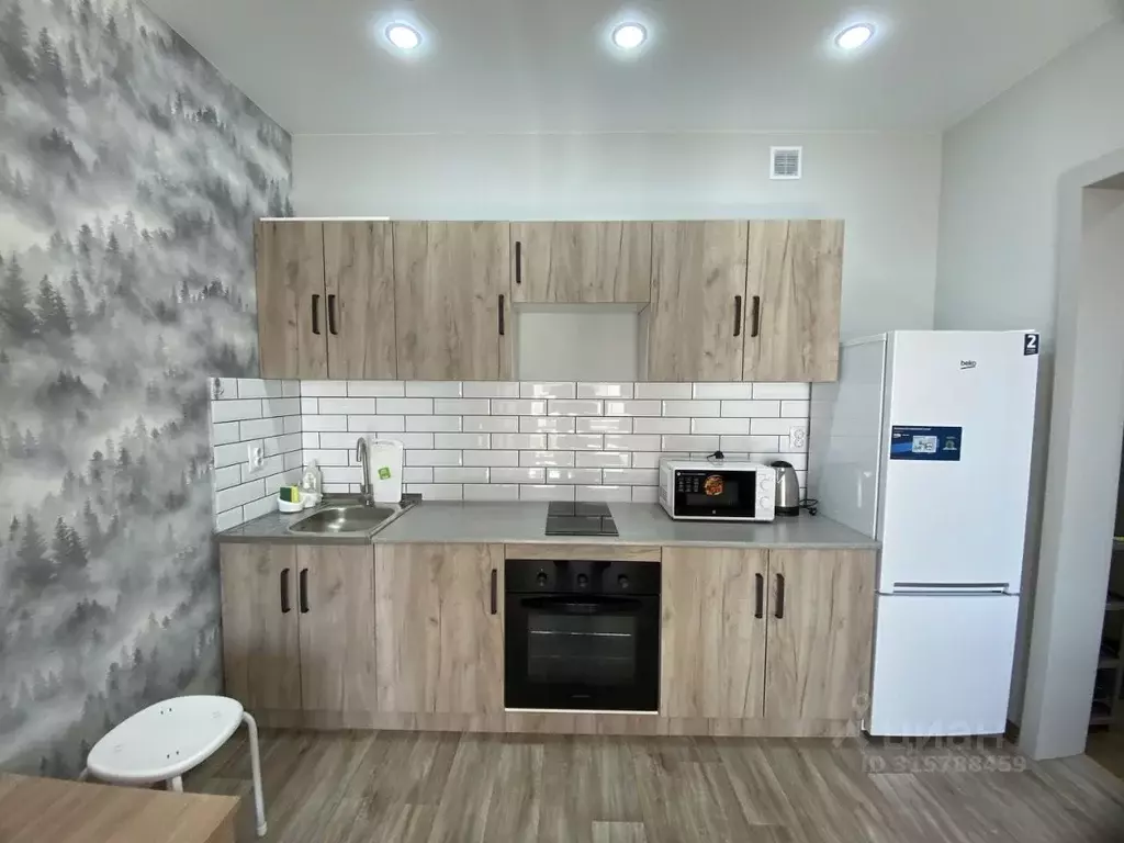 Студия Алтайский край, Барнаул Песчаная ул., 181 (28.0 м) - Фото 2