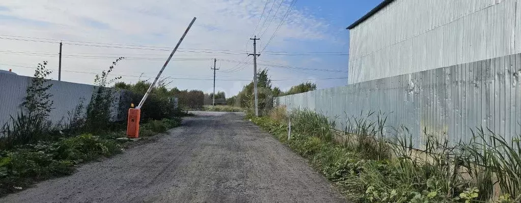 Участок в Ленинградская область, Всеволожский район, Колтушское ... - Фото 1