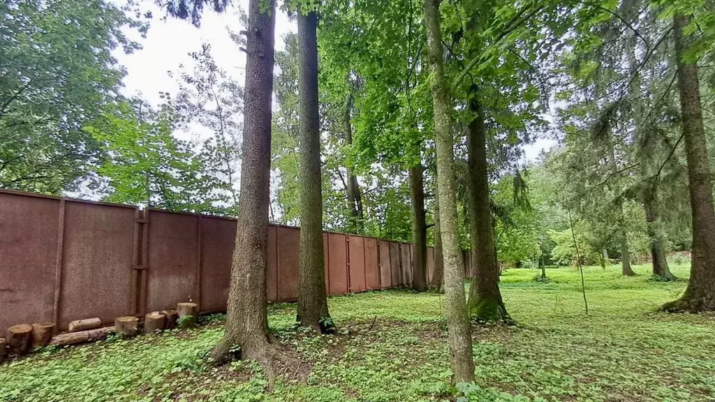 Участок в Московская область, Истра муниципальный округ, пос. ... - Фото 1