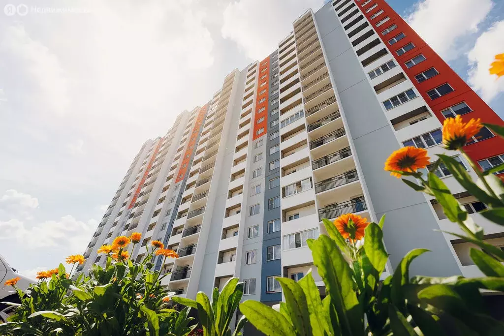 Квартира-студия: Тверь, Новочеркасская улица, 48 (21.6 м) - Фото 2