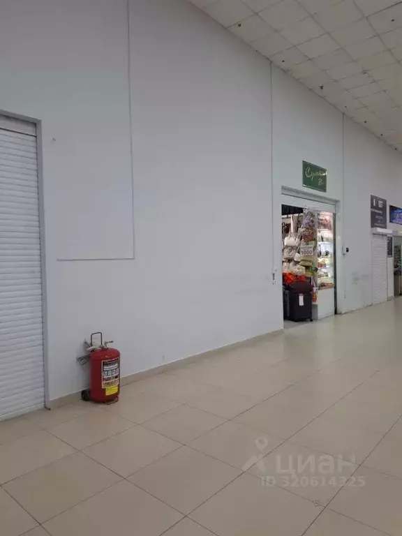 Торговая площадь в Астраханская область, Астрахань Минусинская ул., 8 ... - Фото 0