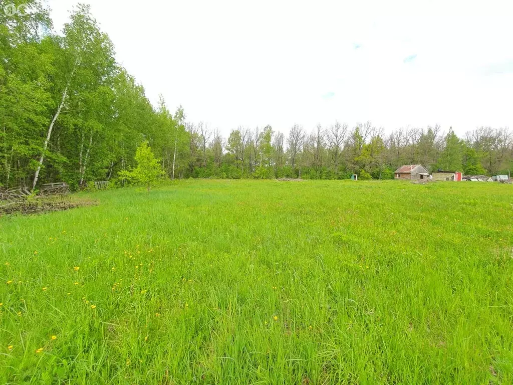 Участок в деревня Хардиково, переулок Рыбака (15 м) - Фото 1