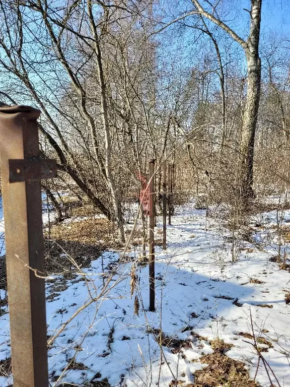 Продается участок в д. Варварино - Фото 2