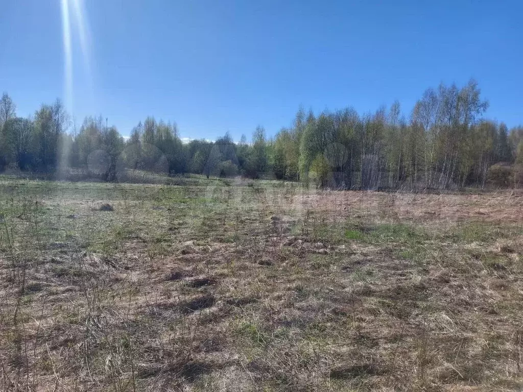 Участок 16,8 сот. (ИЖС) - Фото 1