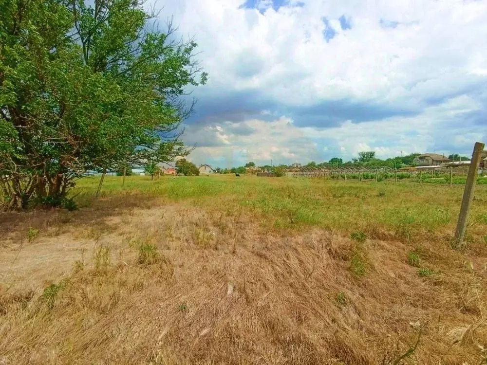 Участок в Крым, Сакский район, Ореховское с/пос, с. Червоное ул. ... - Фото 2