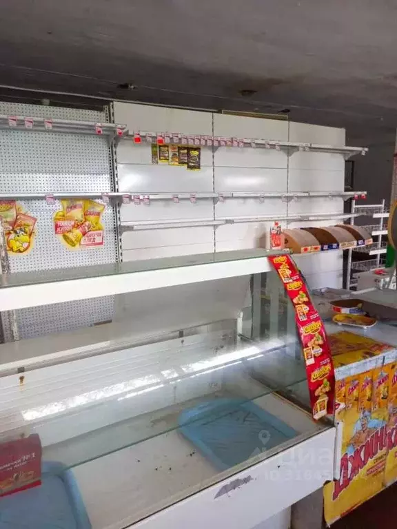 Торговая площадь в Новосибирская область, Новосибирский район, ... - Фото 0