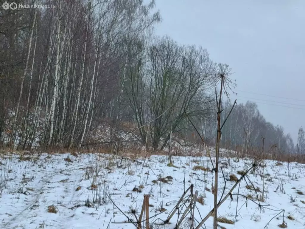 Участок в Тульская область, городской округ Тула, деревня Фёдоровка ... - Фото 0