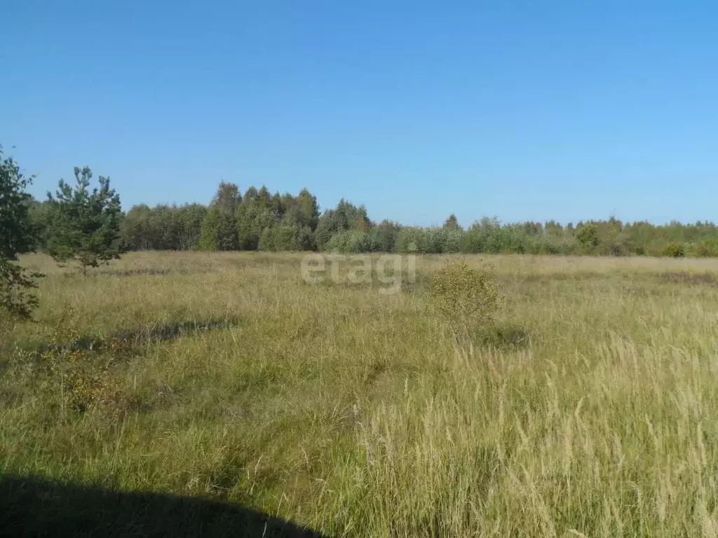 Участок в Псковская область, Островский район, Бережанская волость, д. ... - Фото 0