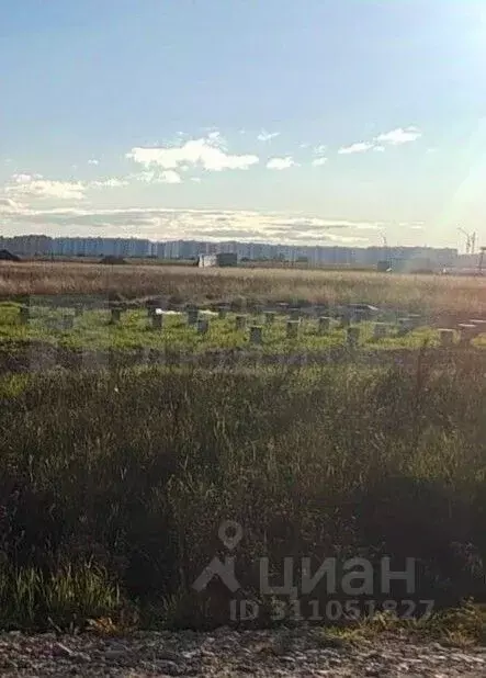 Участок в Новгородская область, Новгородский район, Савинское с/пос, ... - Фото 1