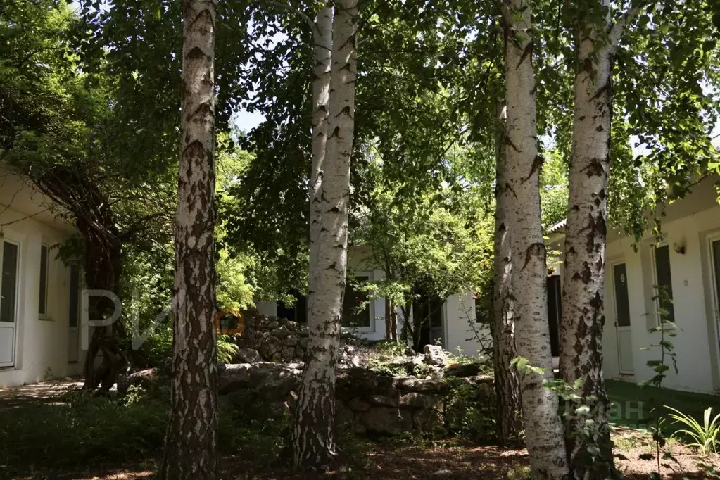 Дом в Севастополь с. Андреевка, ул. Усадебная, 18А (358 м) - Фото 1