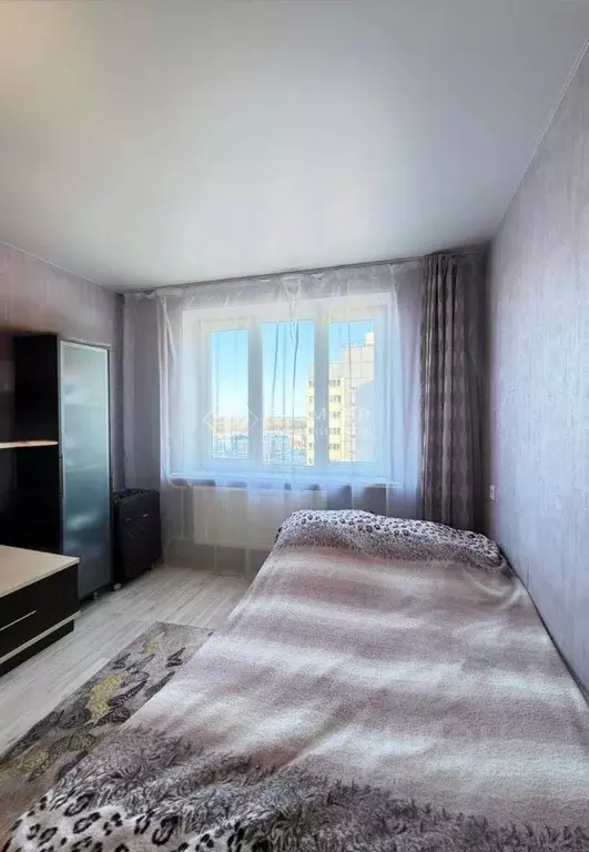 Студия Кировская область, Киров Заводская ул., 4 (23.2 м) - Фото 1