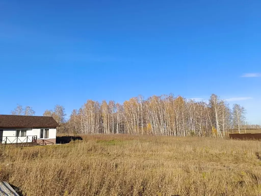Участок в Красноярский край, Емельяновский муниципальный округ, ... - Фото 2