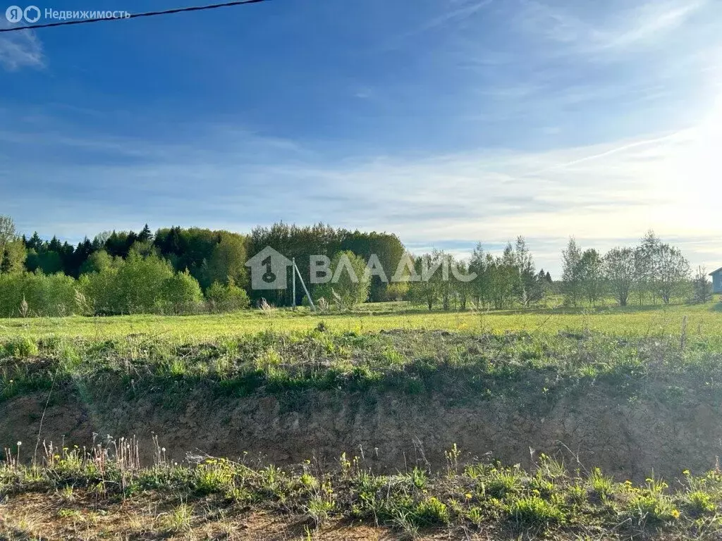 Участок в Вологодская область, Сокольский муниципальный округ, село ... - Фото 2