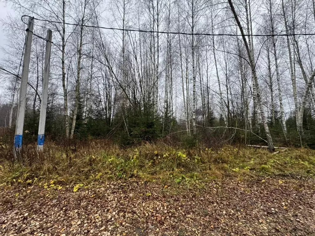 Участок в Московская область, Мытищи городской округ, д. Муракино 5 ... - Фото 1