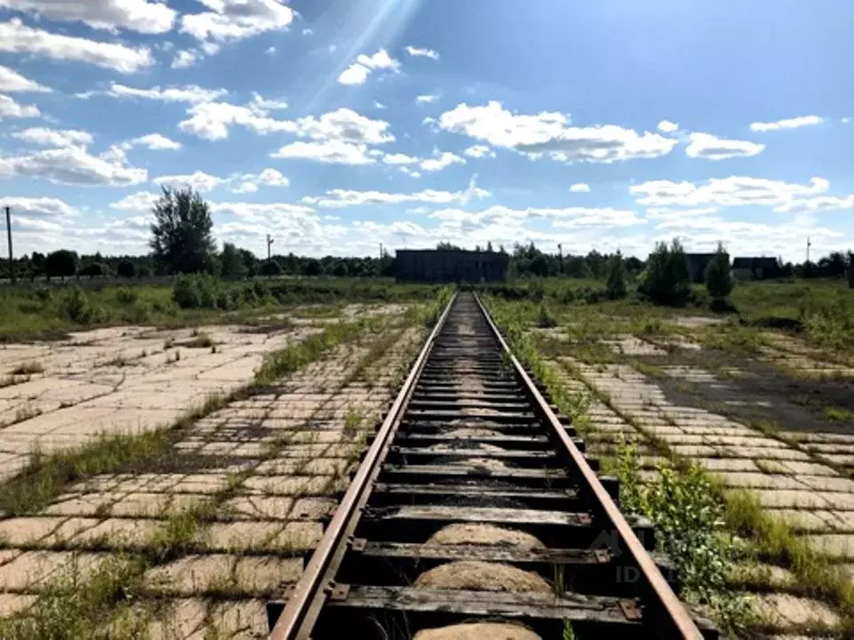 Склад в Смоленская область, Рудня Набережная ул., 41 (15900 м) - Фото 1