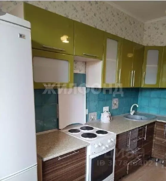 1-к кв. Новосибирская область, Новосибирск ул. Романова, 60 (36.0 м) - Фото 1