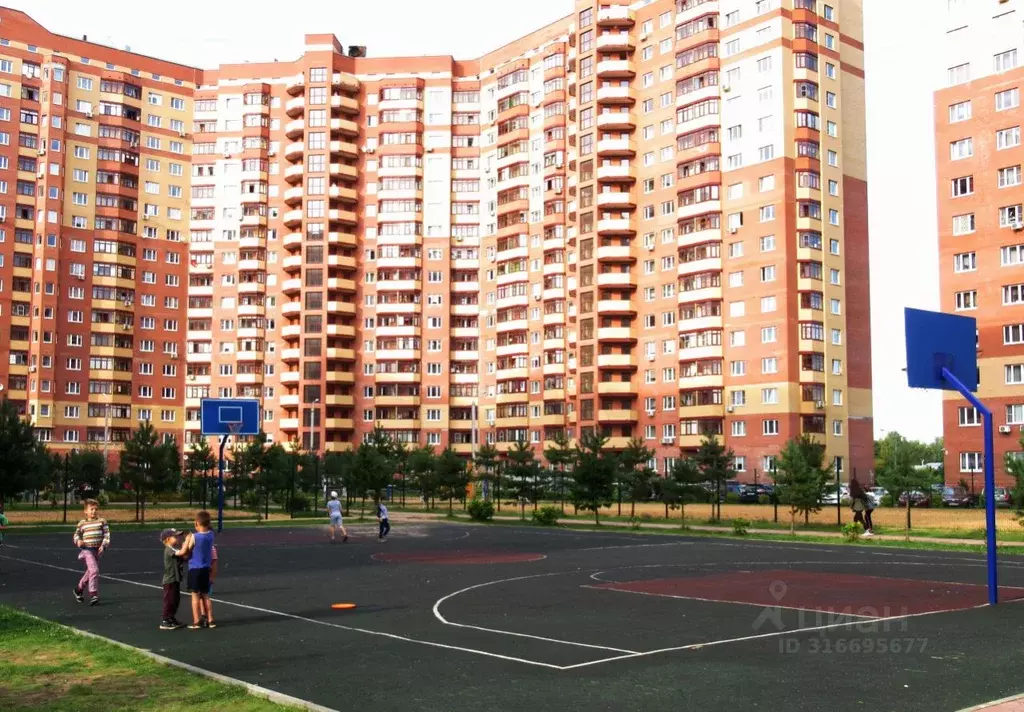 1-к кв. Московская область, Богородский городской округ, д. Щемилово ... - Фото 1