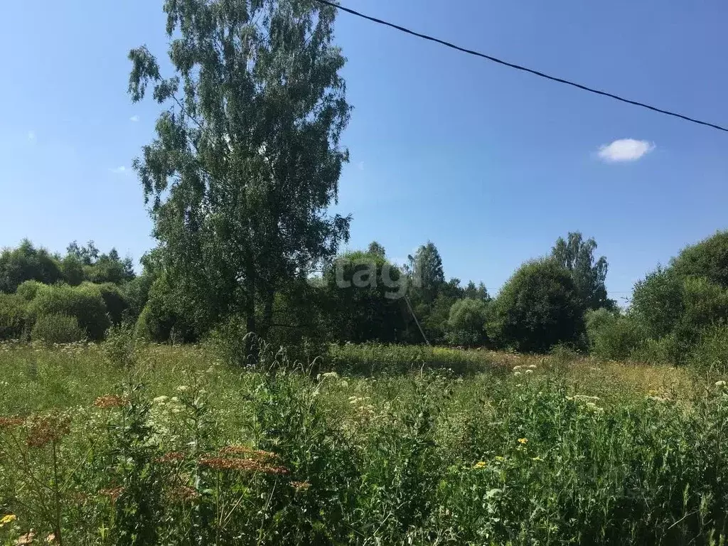 Участок в Калужская область, Бабынинский муниципальный округ, ... - Фото 2