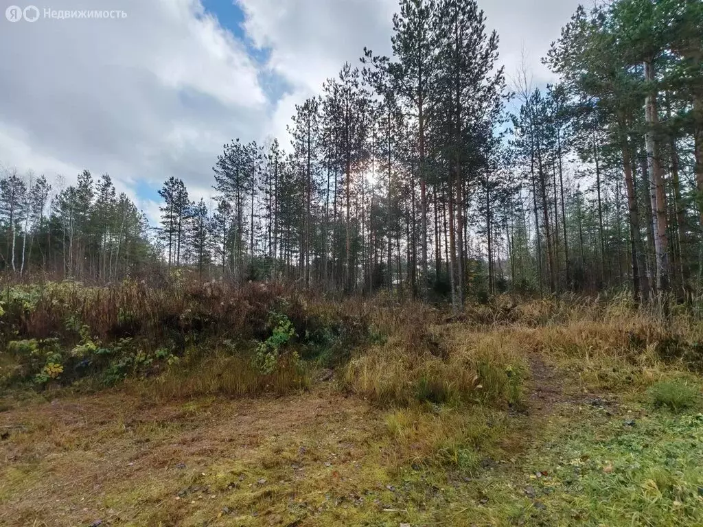 Участок в Московская область, городской округ Клин, СНТ Лесник (8 м) - Фото 2