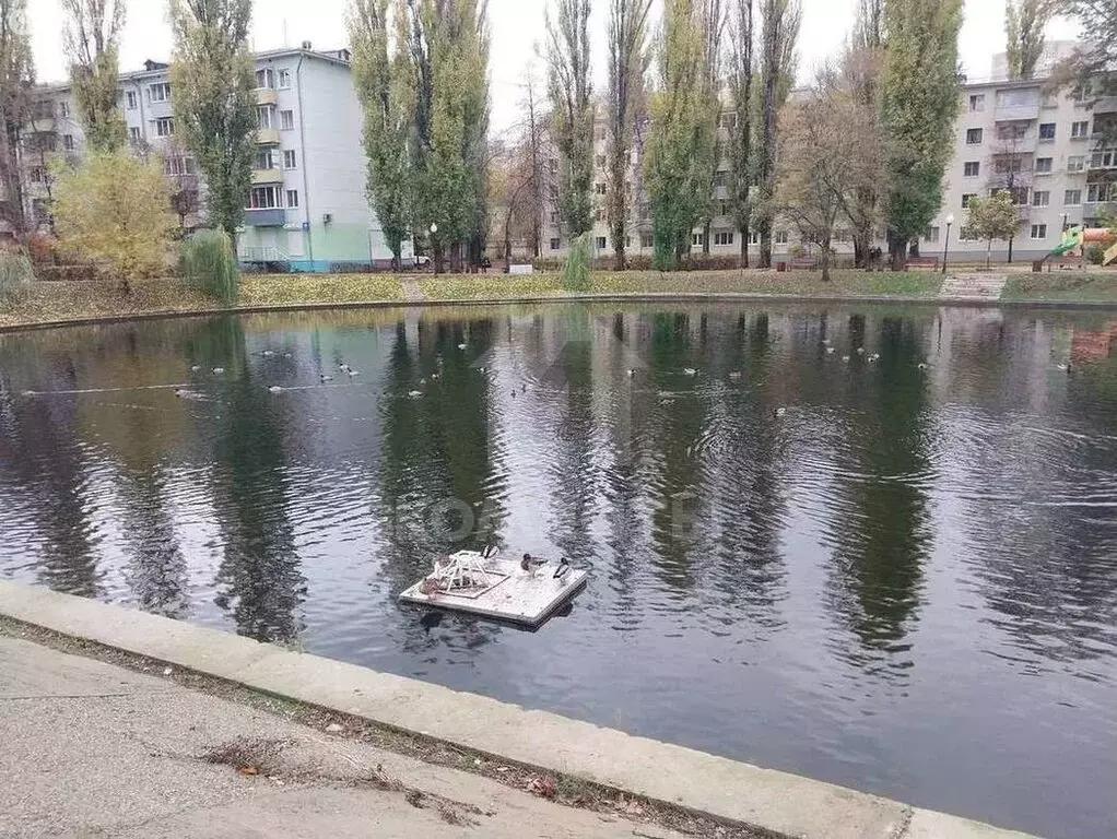 2-комнатная квартира: Воронеж, Ленинский проспект, 134 (51.1 м) - Фото 2