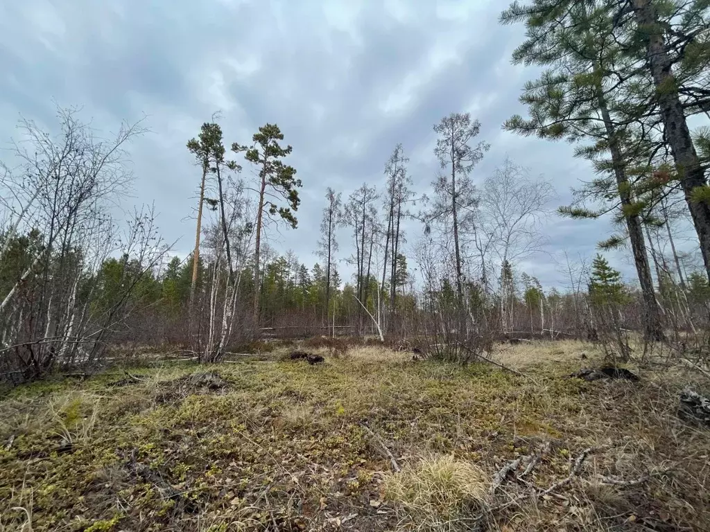 Участок в Саха (Якутия), Мегино-Кангаласский улус, Нижний Бестях пгт ... - Фото 1
