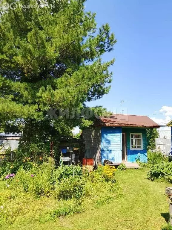 Дом в Колыванский район, СНТ Электрон (60 м) - Фото 0